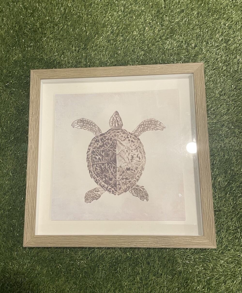 Coastal Sea Turtle Sketch Shadow Box Framed Wall Art Print Grey Matt 18"x18"